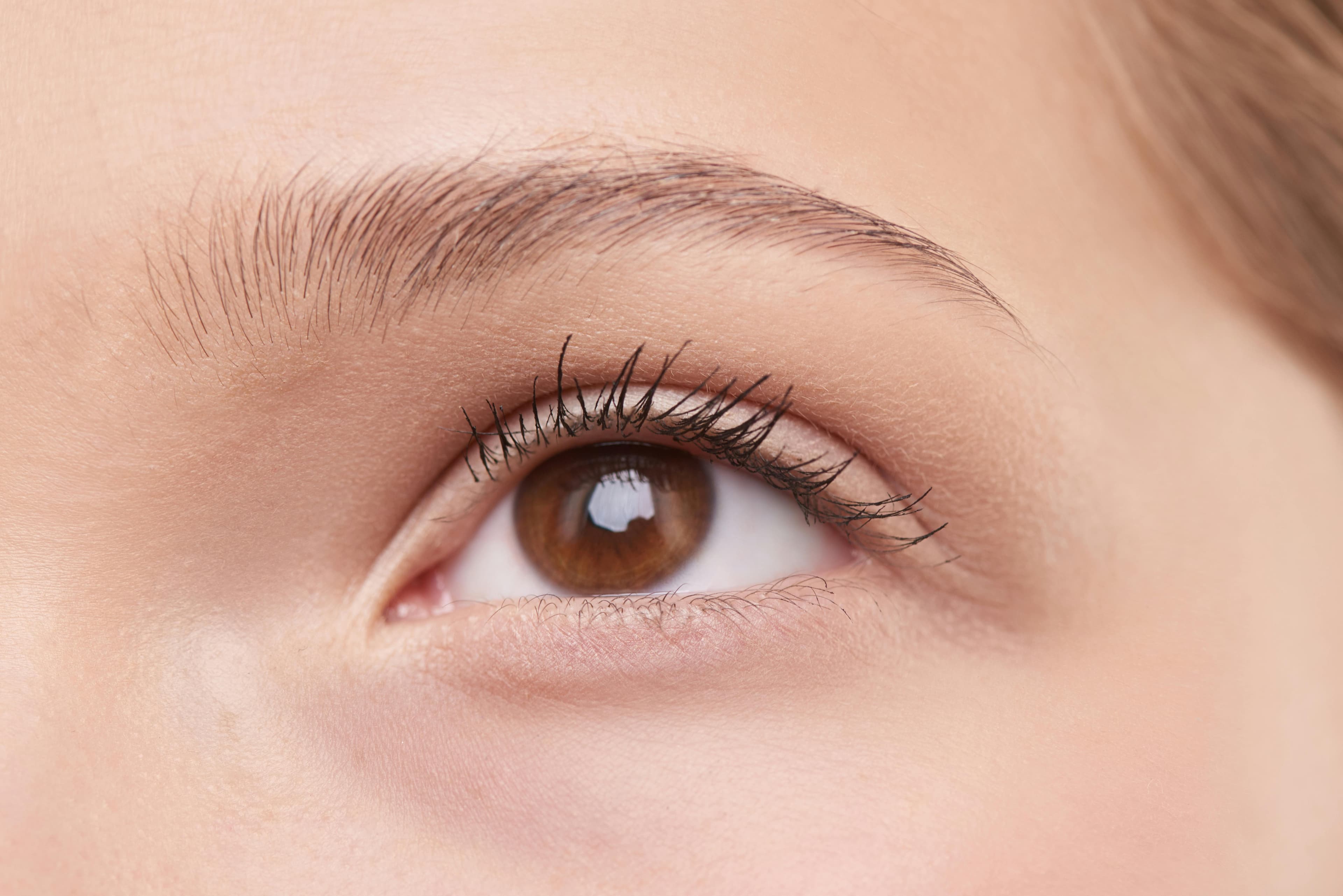 Defined, freshly waxed brows after a brow shaping at Hair by Beth in Riverview FL